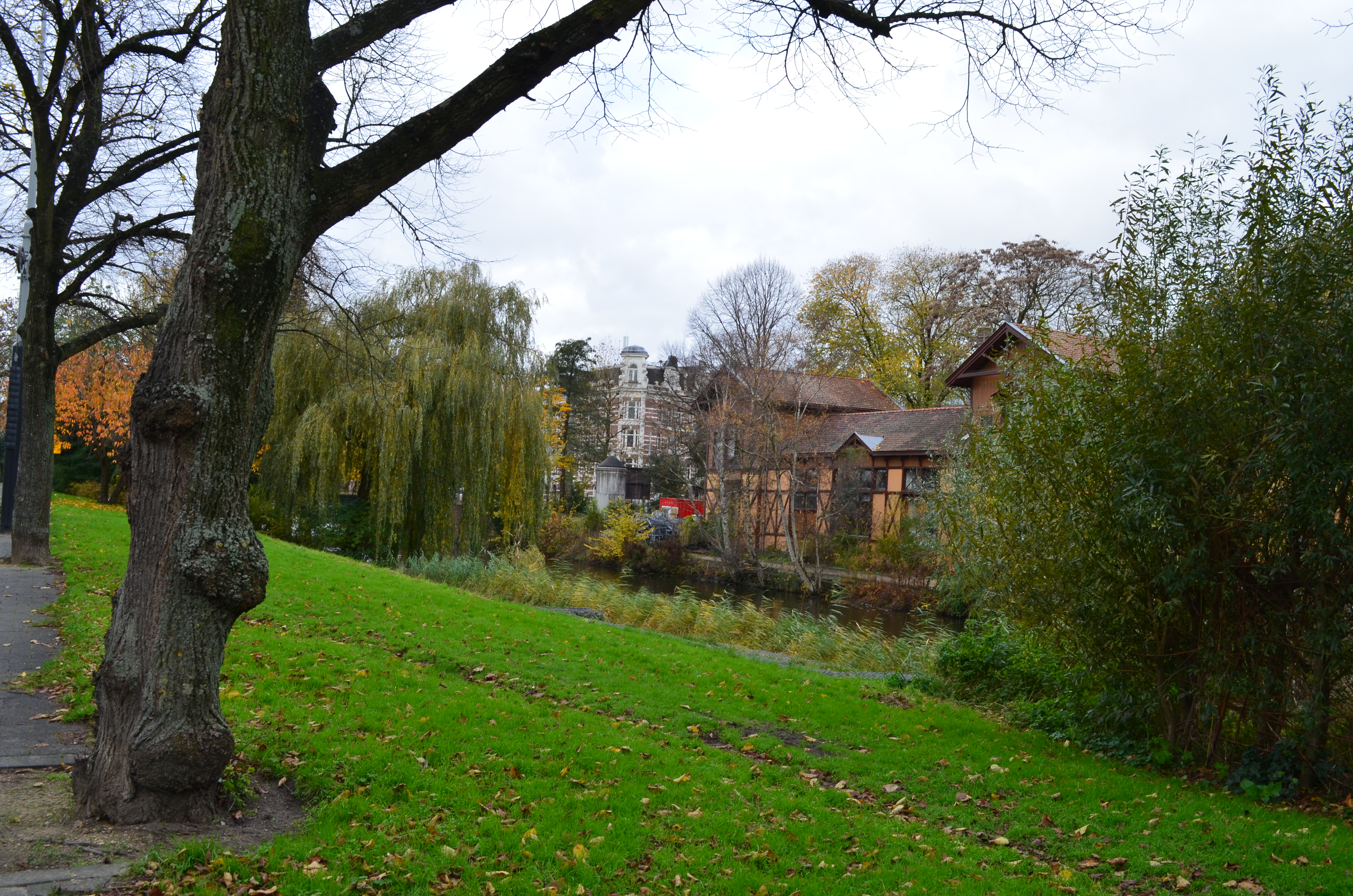 ./2017/19 - Viking Lif/13 - Amsterdam, The Netherlands/DSC_0654.JPG